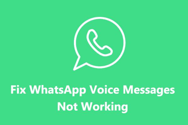 Como consertar mensagens de voz do WhatsApp que não funcionam – 9 maneiras [resolvido]