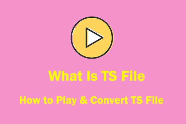 Arquivo TS: O que é arquivo TS e como reproduzir e converter arquivos TS