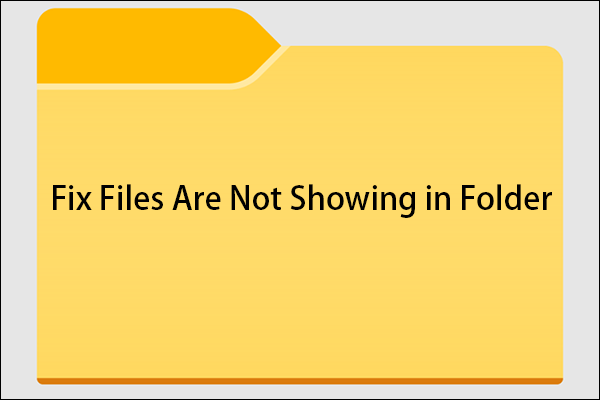 Melhores correções para: os arquivos não aparecem na pasta em PCs com Windows