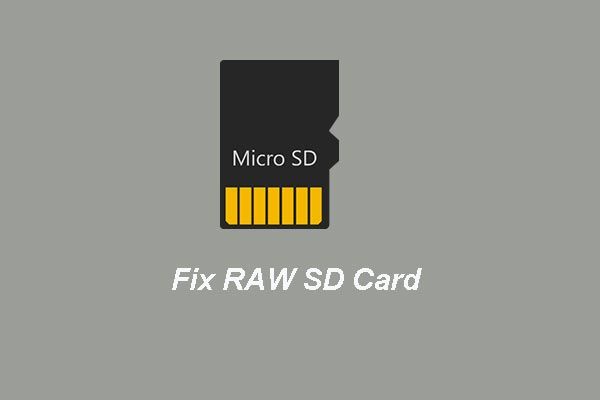 Cartão SD transformado em RAW