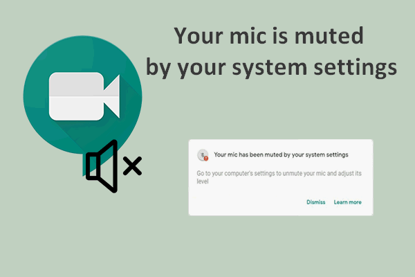 Seu microfone está silenciado pelas configurações do sistema