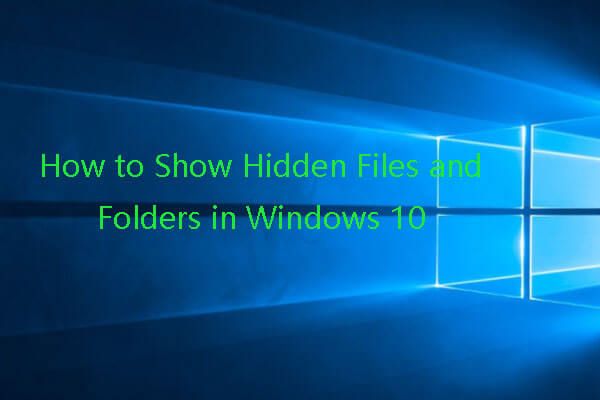 показать скрытые файлы Windows 10