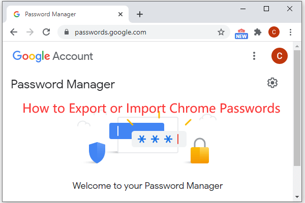 exportar importar senha do Chrome em miniatura