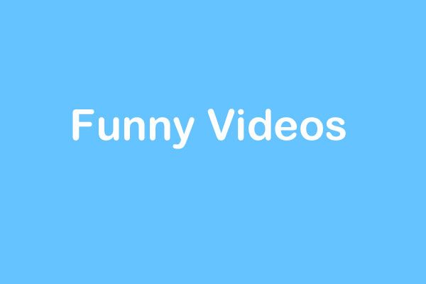 vídeos engraçados
