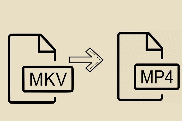 MKV zu MP4