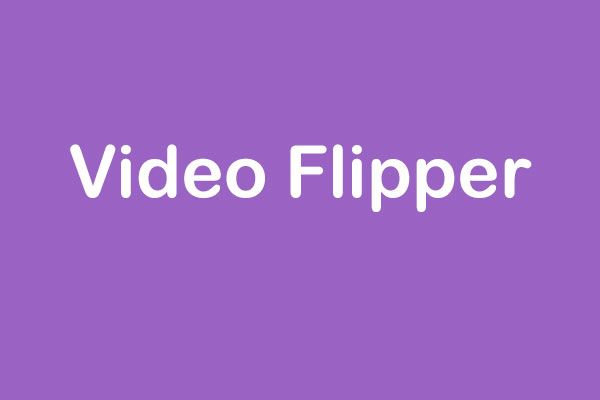 flipper de vídeo