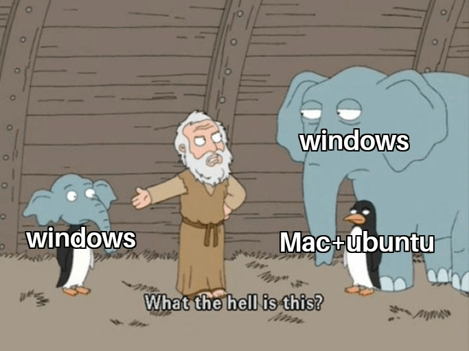 apa kejadahnya Windows 11