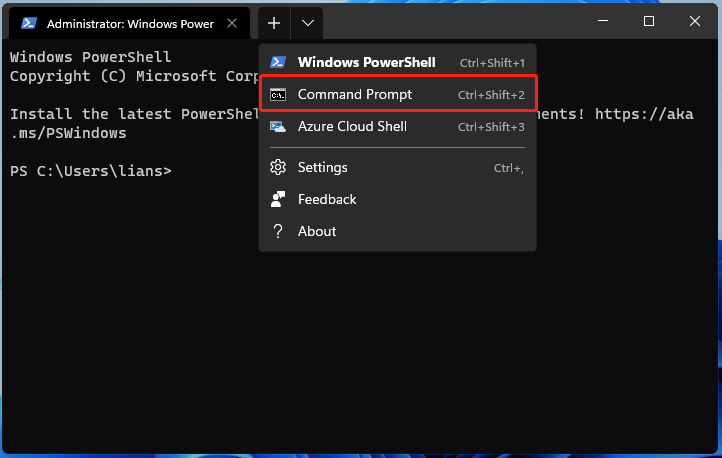 execute o prompt de comando no Terminal do Windows