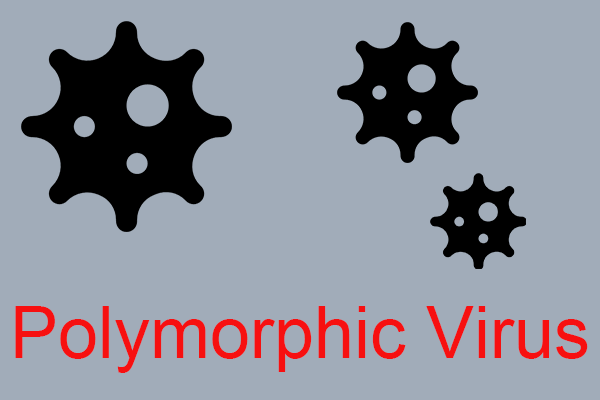 Co to jest wirus polimorficzny i jak mu zapobiegać?