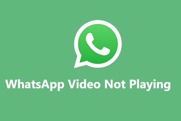 Cách khắc phục sự cố không phát video/video trạng thái WhatsApp