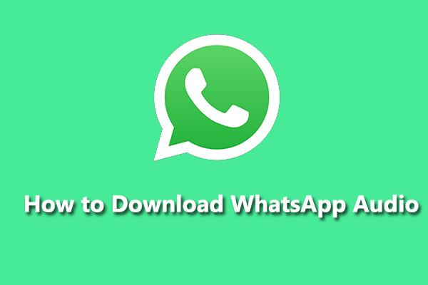 Hur man laddar ner WhatsApp Audio & Konverterar WhatsApp Audio till MP3