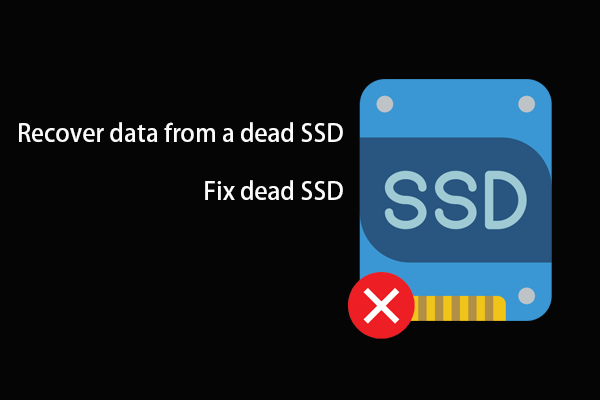 كيفية استرداد البيانات من SSD الميت؟ كيفية إصلاح SSD الميت؟