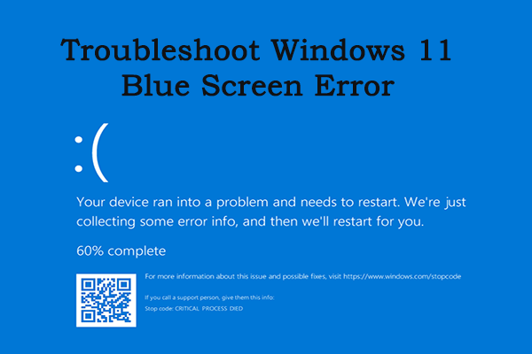 Windows 11 블루 스크린이란 무엇입니까? PC에서 BSOD 오류를 수정하는 방법