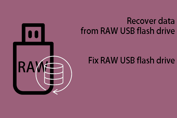 Windows에서 RAW USB 플래시 드라이브의 데이터를 복구하는 방법은 무엇입니까?