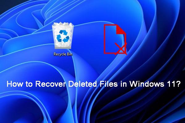 Com recuperar fitxers perduts i suprimits a Windows 11? [6 maneres]