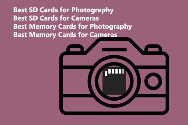Bedste SD-kort til fotografering: SD-, MicroSD-, CFexpress- og CF-kort