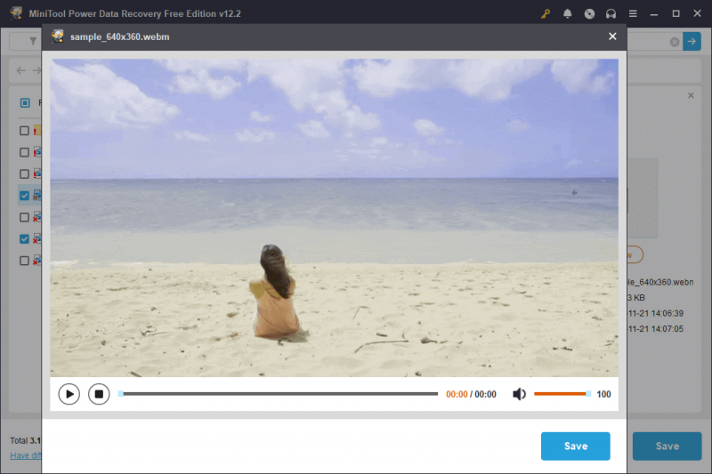  MiniTool Power Data Recovery nuskaitymo rezultatų sąsajoje peržiūrėkite reikiamus WebM failus naudodami peržiūros funkciją