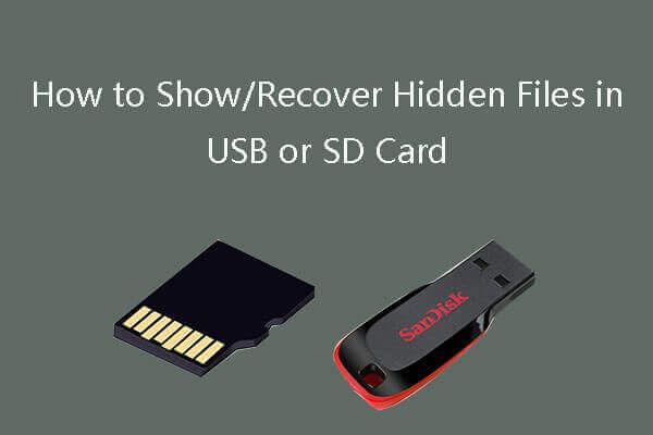 mostra recuperare i file nascosti miniatura della scheda SD USB