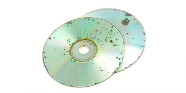 что такое дисковая гниль
