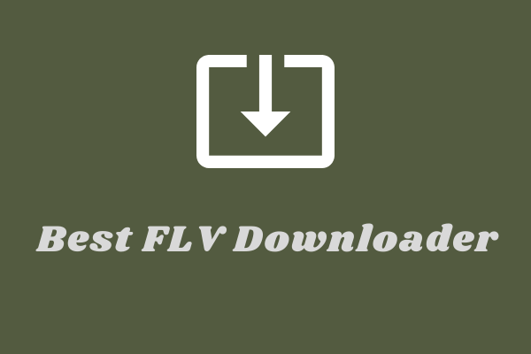 miniatura do downloader flv