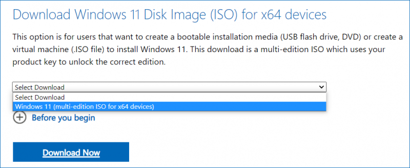Windows 11 Installeri ISO allalaadimine ja OS-i installimine USB-lt