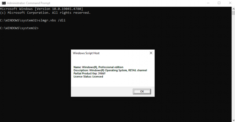   Führen Sie slmgr.vbs /dli aus
