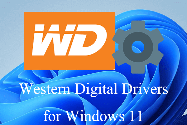 4가지 방법: Windows 11용 Western Digital 드라이버 다운로드 및 설치