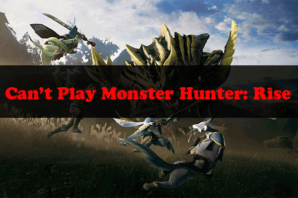لا يمكن أن تلعب Monster Hunter: Rise PC؟ إليك بعض الحلول!