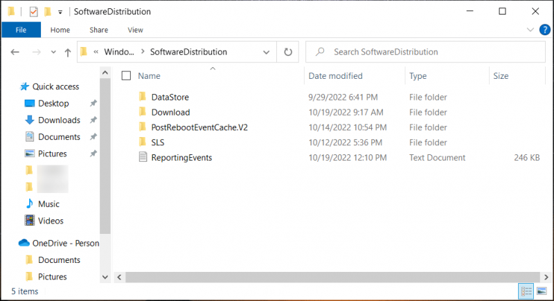   exclua os arquivos de atualização do Windows em cache