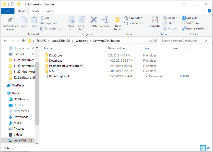 Složka Distribuce softwaru v systému Windows 10