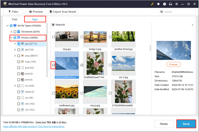   di MiniTool Power Data Recovery, simpan gambar dari bagian Gambar di bawah Tipe