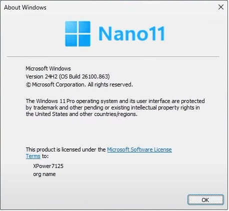   Nano11 24H2