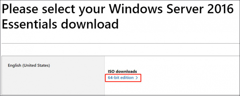   pasirinkite „Windows Server 2016 Essentials“.