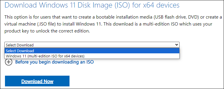   selecione Windows 11 para baixar