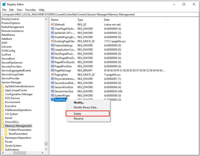   Registry Editor சாளரத்தில் TrackPtes உள்ளீட்டை நீக்கவும்