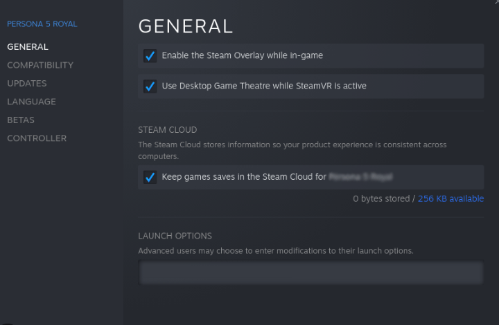   Možnosti spuštění služby Steam