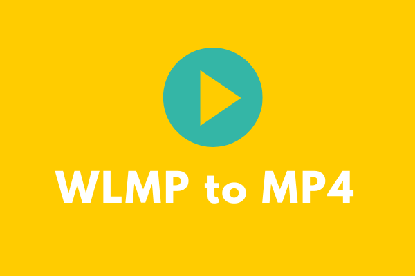 уменьшенное изображение wlmp в mp4