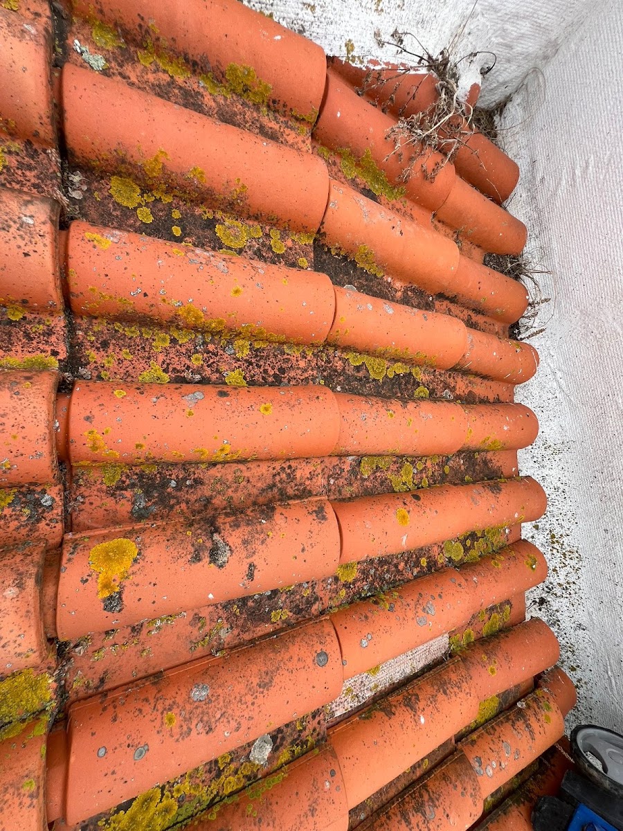 Dinâmica Remodelações Lda foto 4