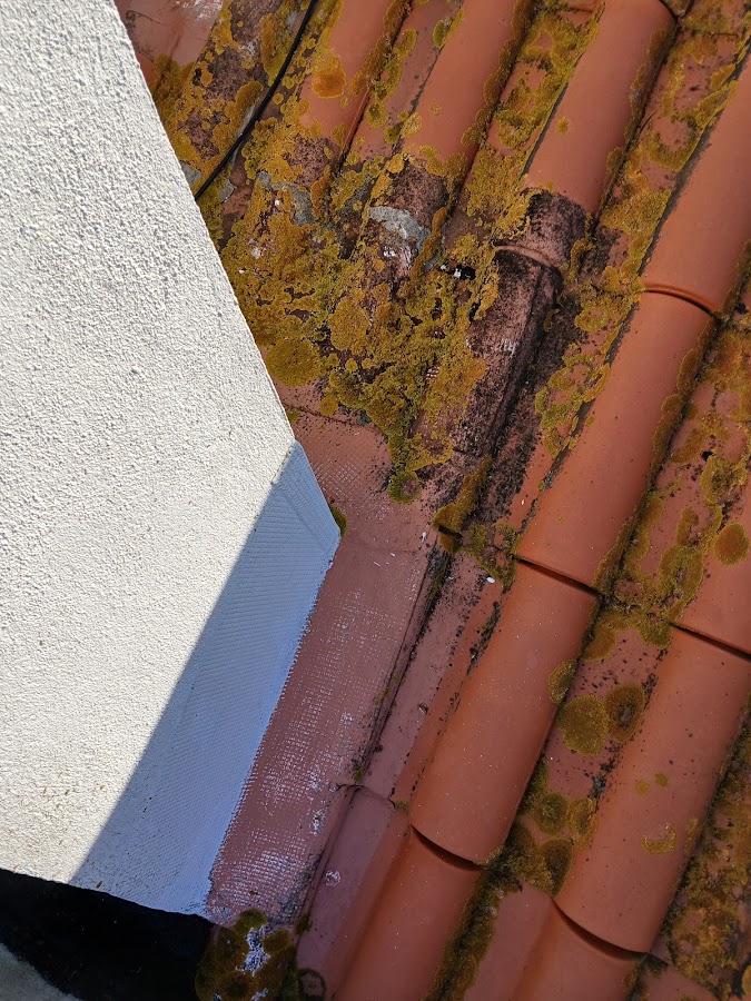 Hélio dias pinturas e impermeabilizações foto 2