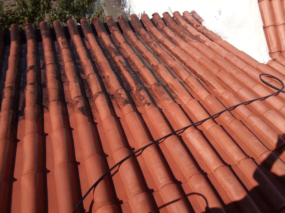 Pisos e Patamares reabilitação urbana lda foto 5
