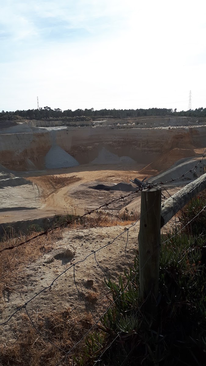 Soarvamil - Sociedade de Areias Vale de Milhaços foto 4