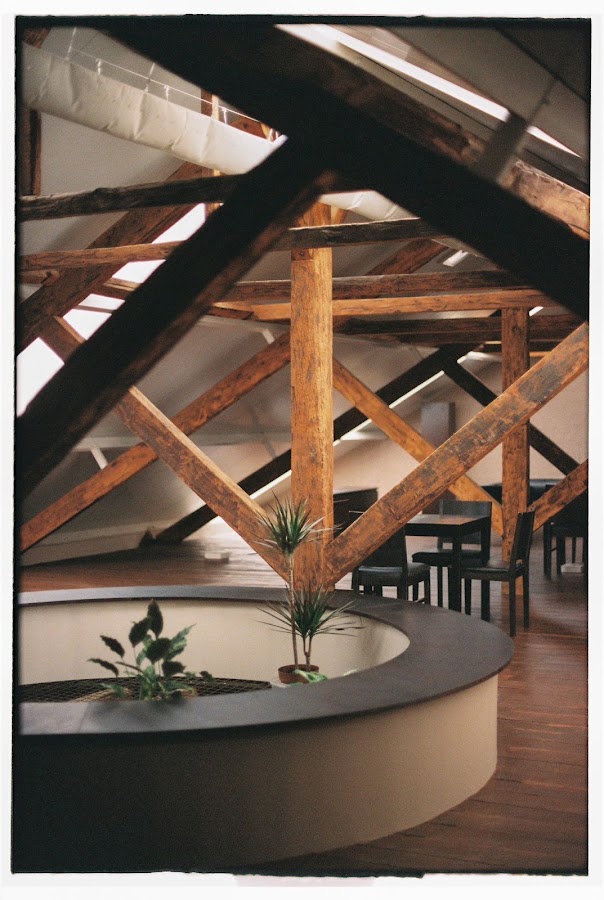 TECTO STUDIO foto 1